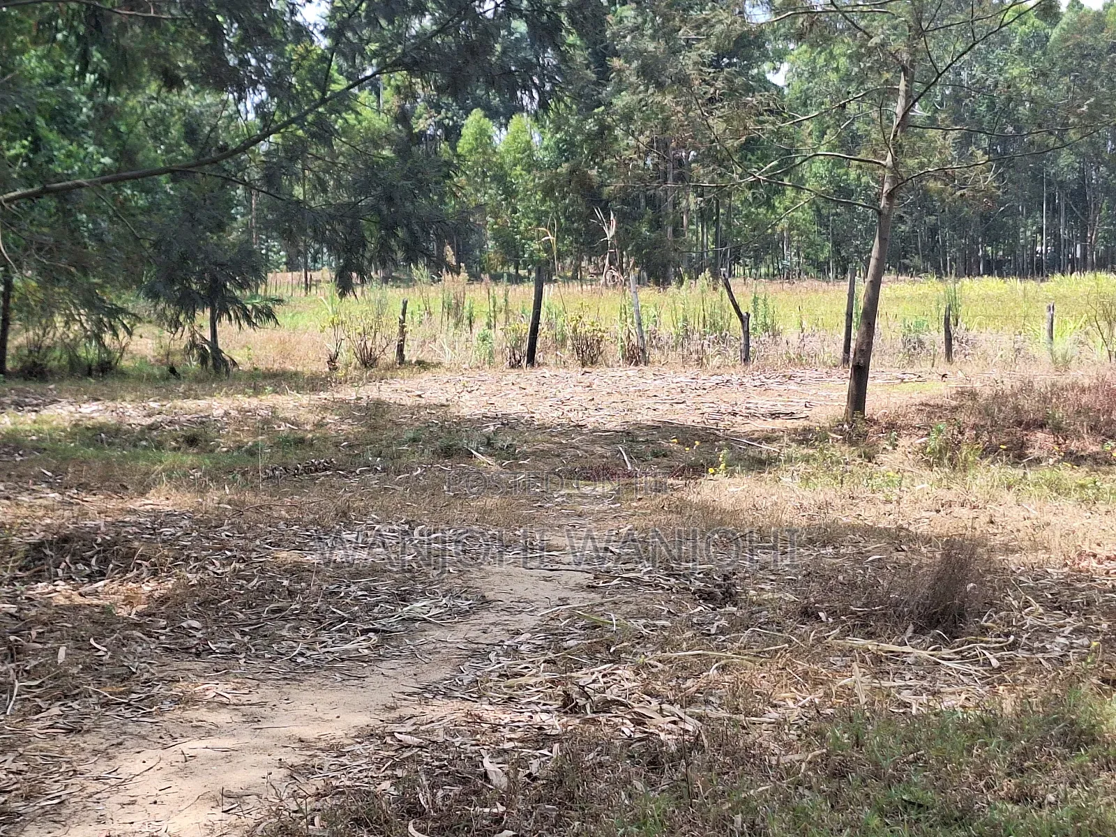 Secure Top Tier Oljoroork Plots
