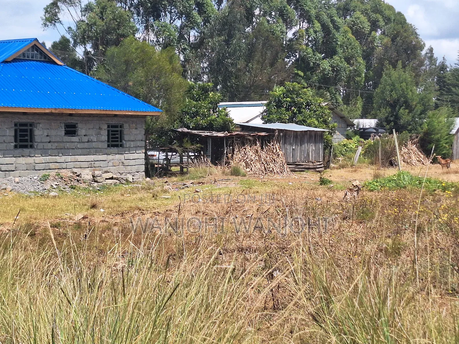 Secure Top Tier Oljoroork Plots