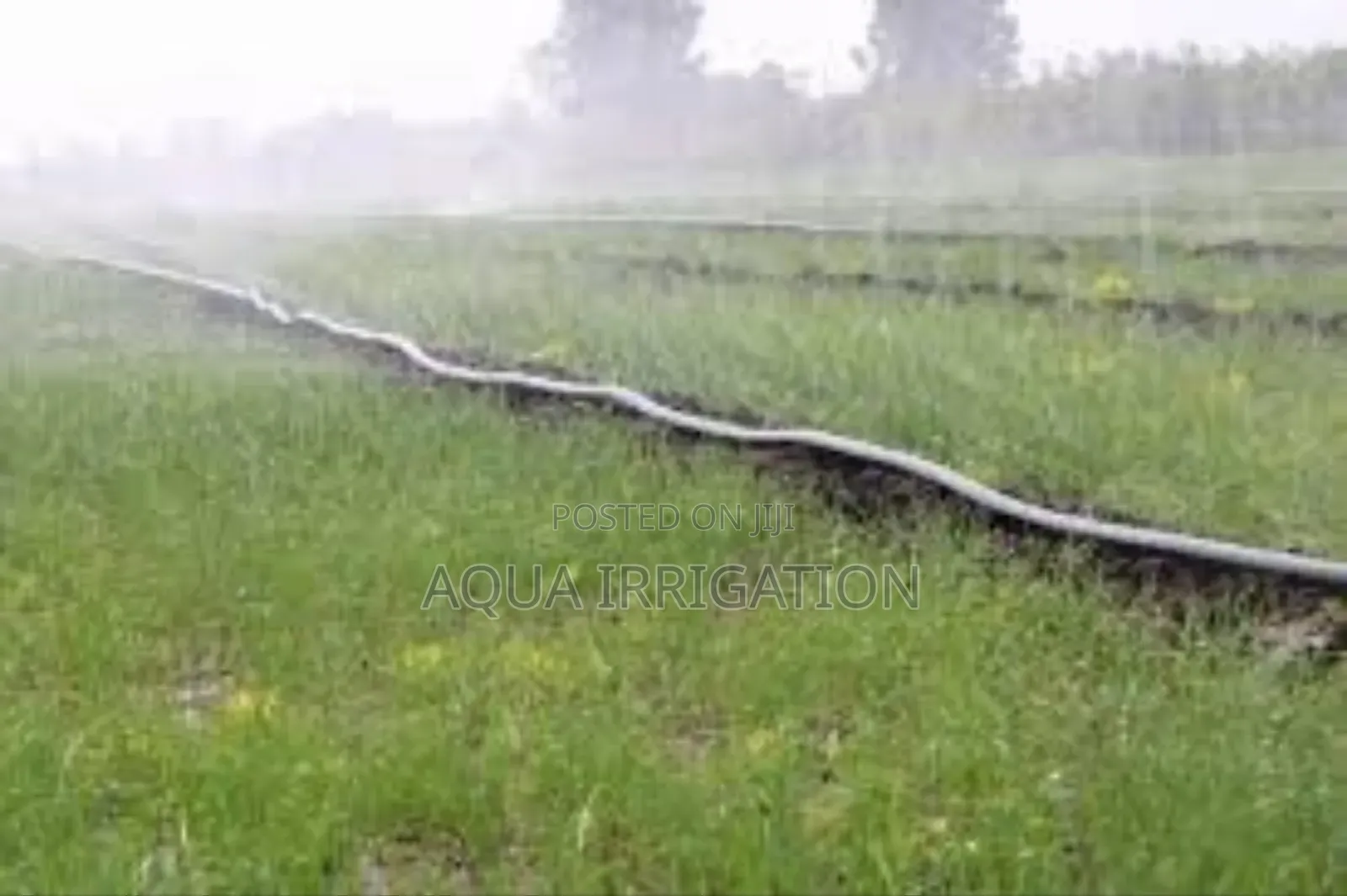 Irrigate Smarter With Rain Horse Solutions