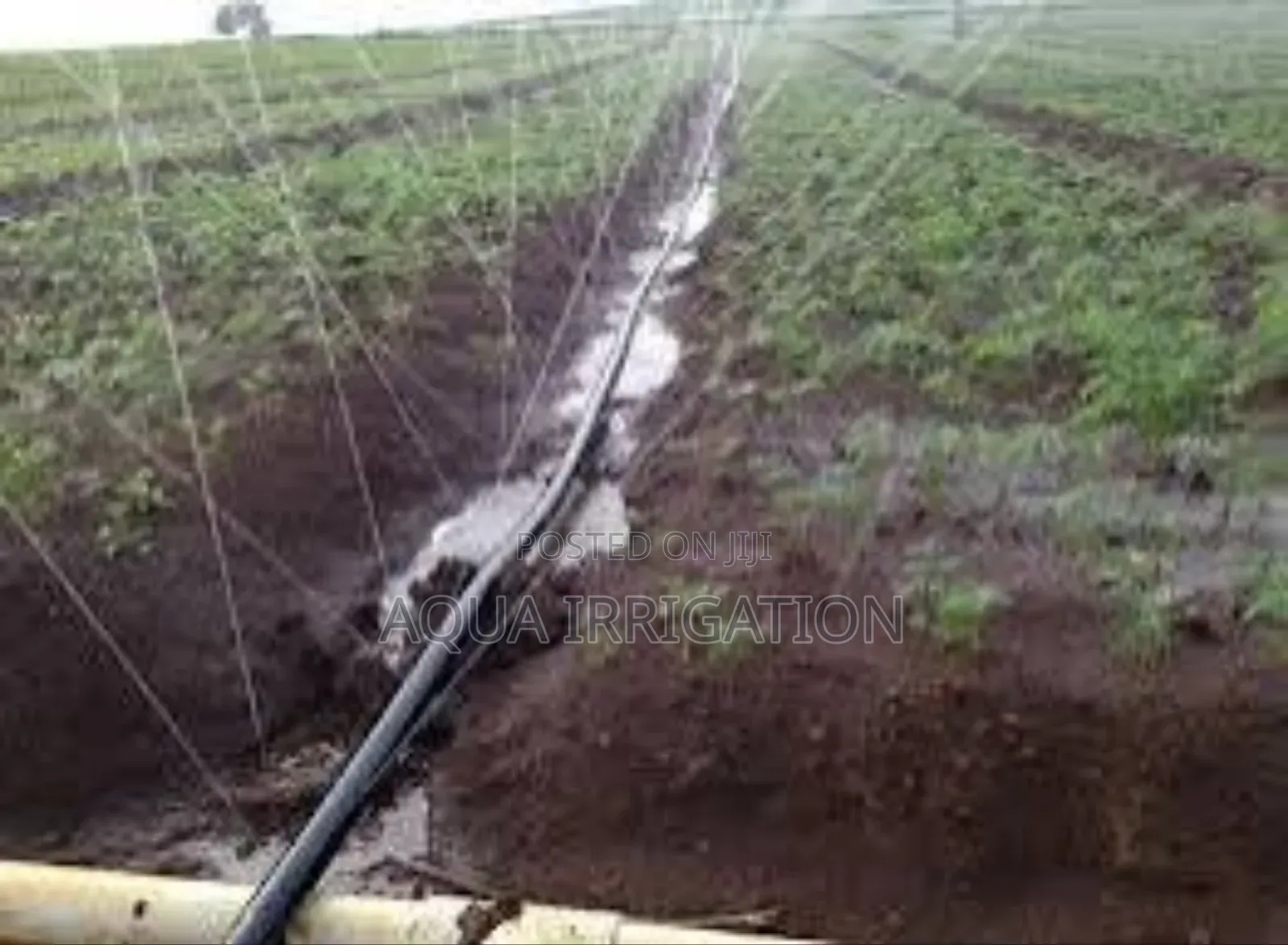 Sustainable Farming Starts With Rain Horse!