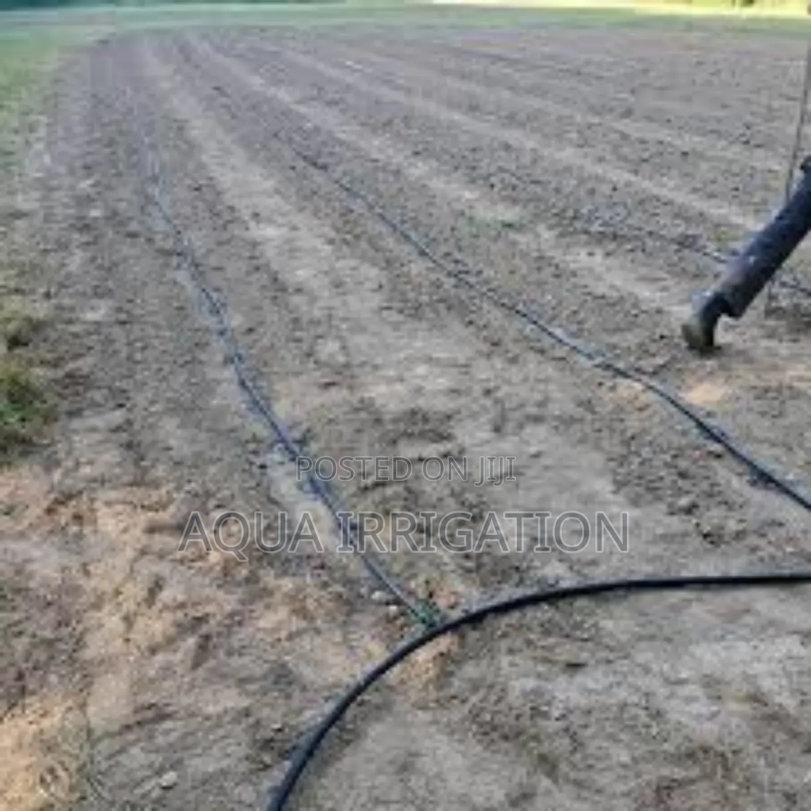 Efficient Water Use for Thriving Crops – Rain Horse