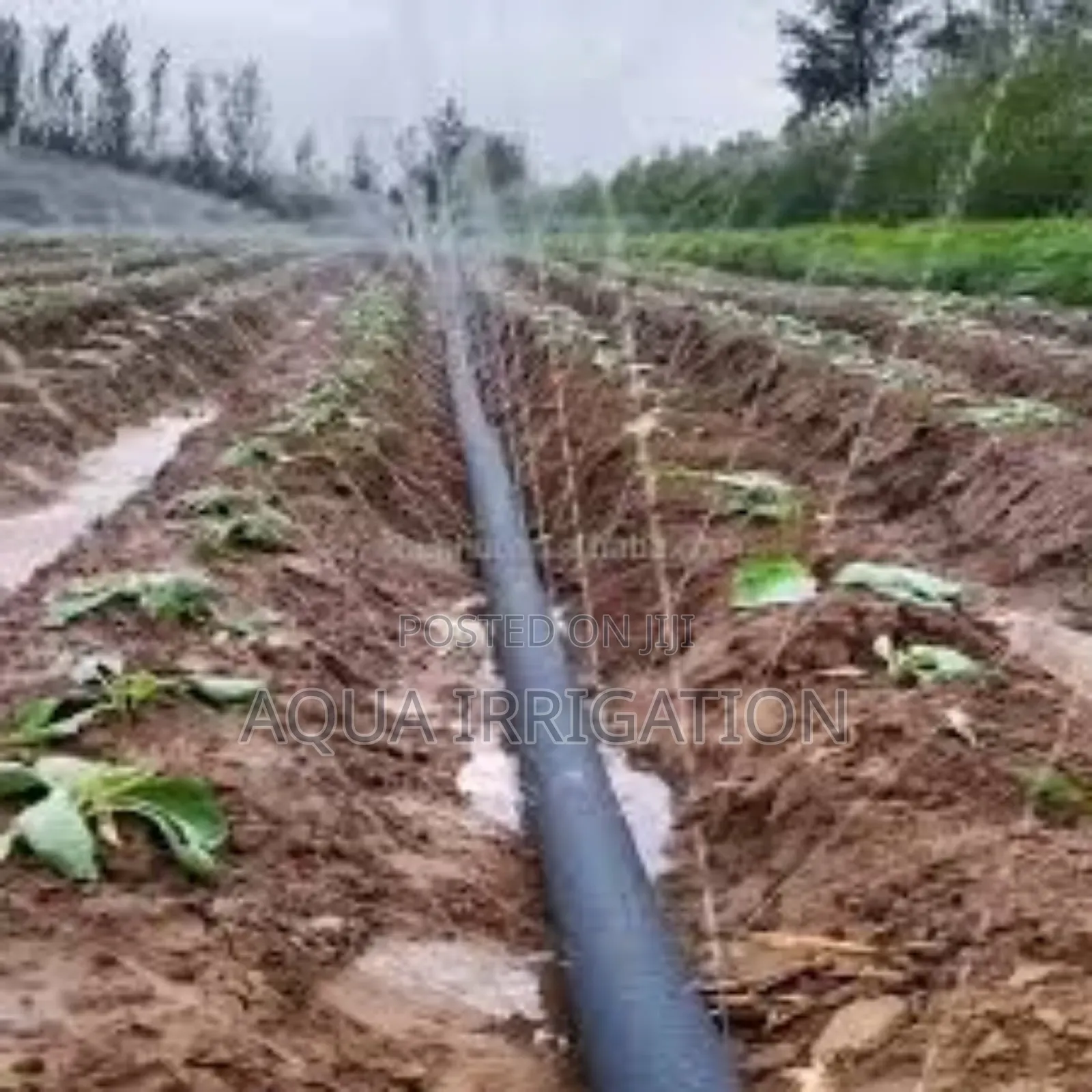 Precision Watering, Maximum Efficiency
