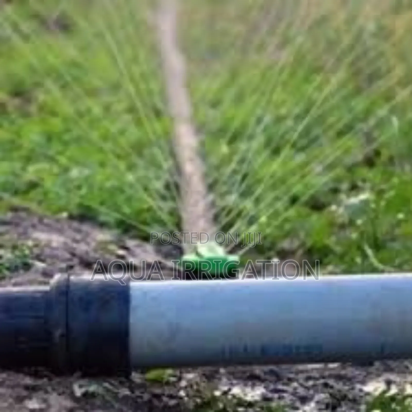 Rain Horse: The Best in Precision Irrigation!