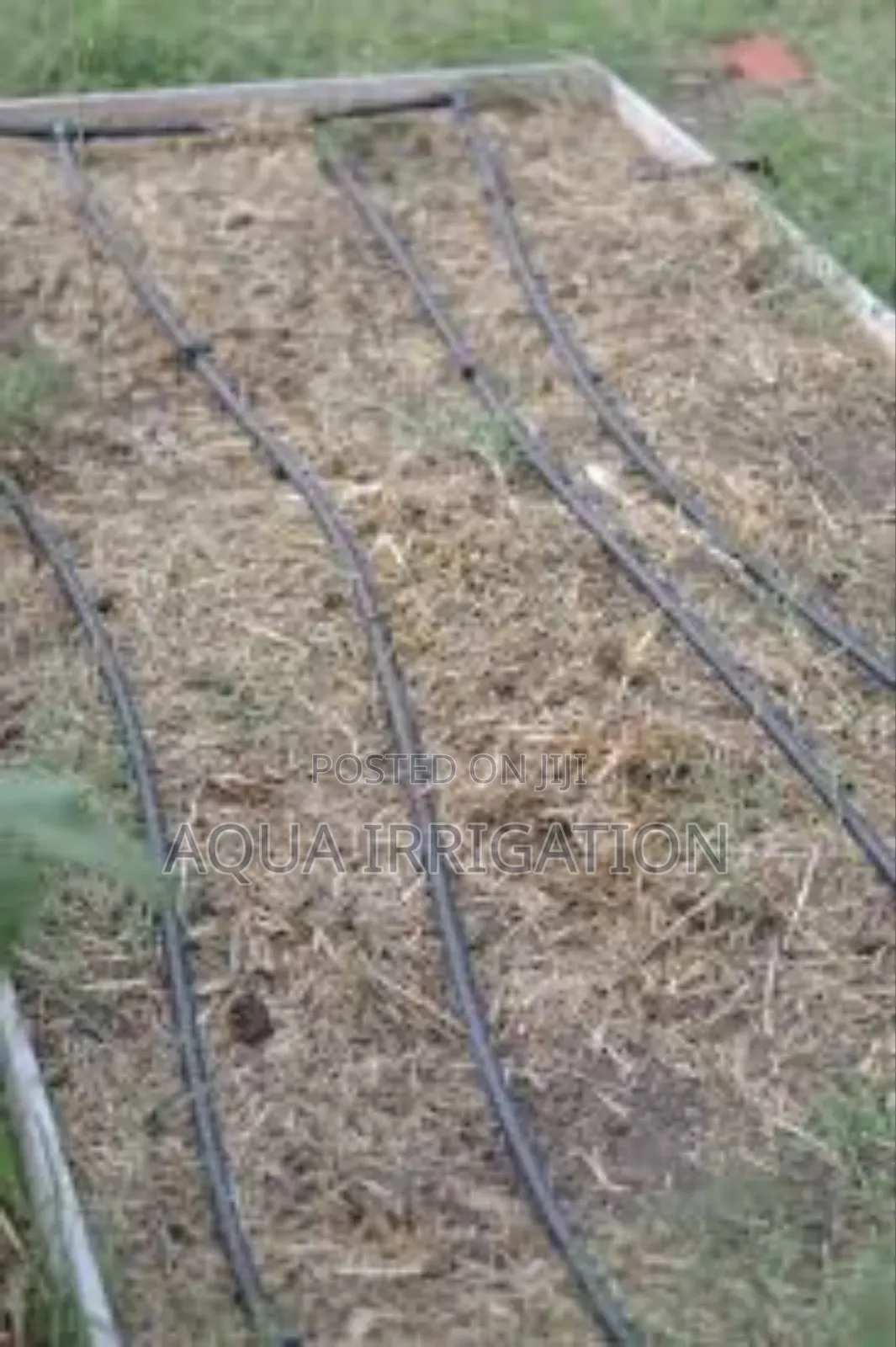 Drip Lines: The Secret to Thriving Fields!