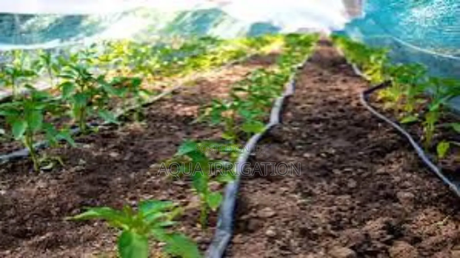 Water Your Crops the Smart Way