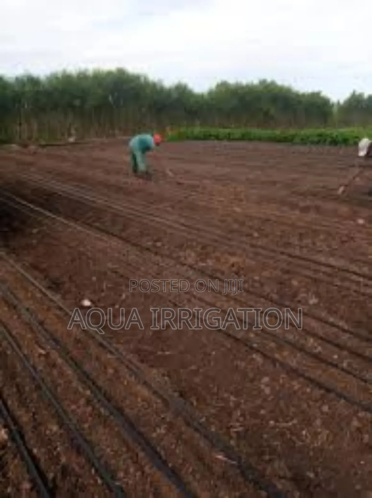 Maximize Every Drop With Drip Irrigation