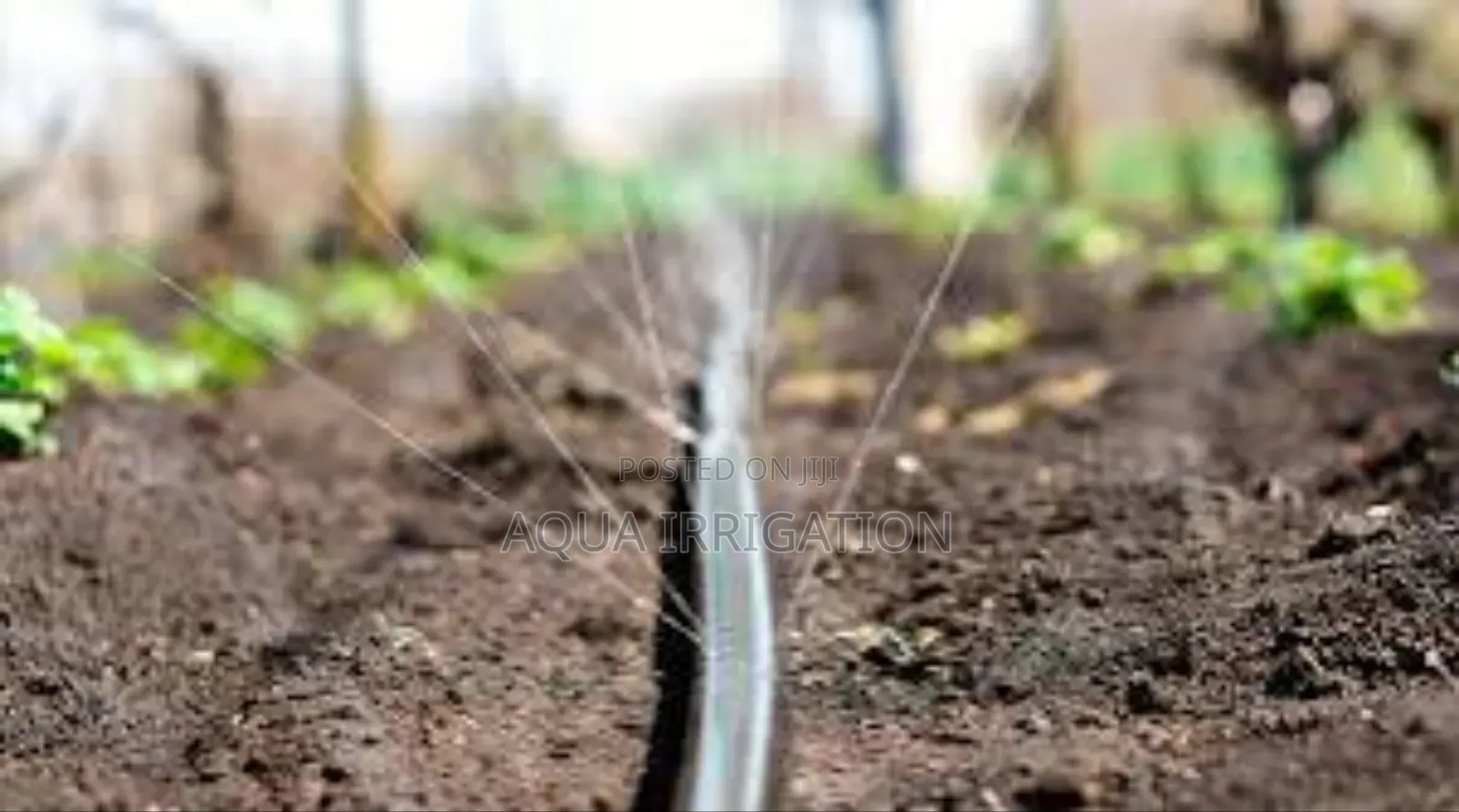 Water Smarter, Harvest Better With Drip Lines!