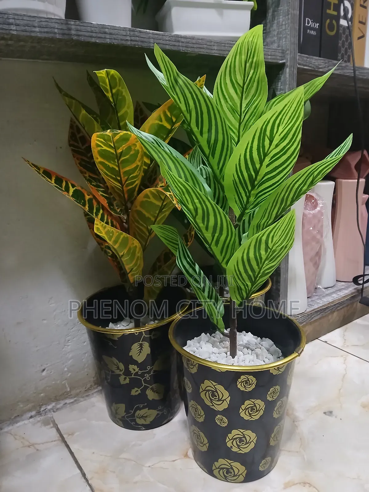 Counter Top/Table Artificial Plants