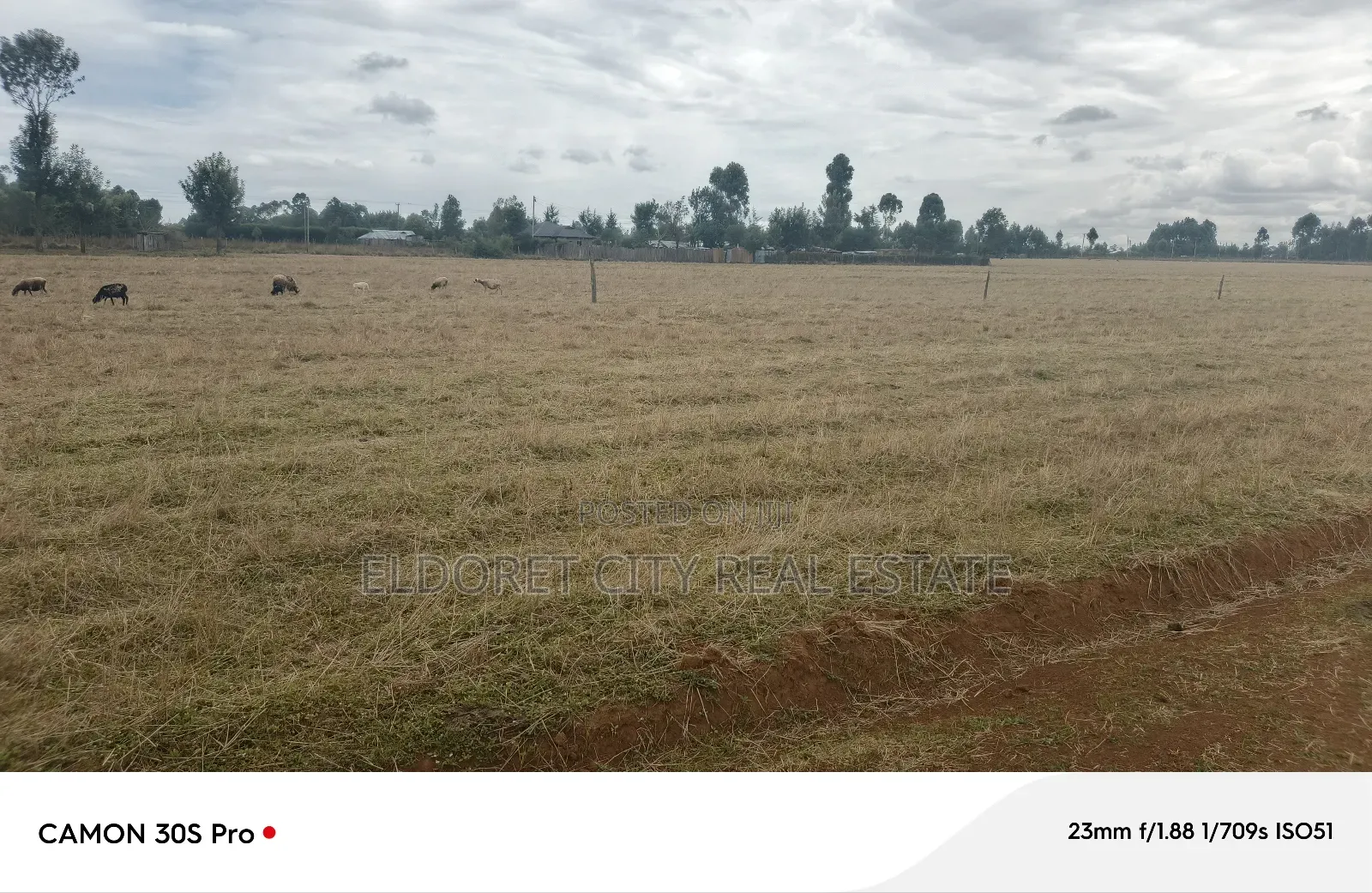 1/8 Plots After UOE MTI Moja.