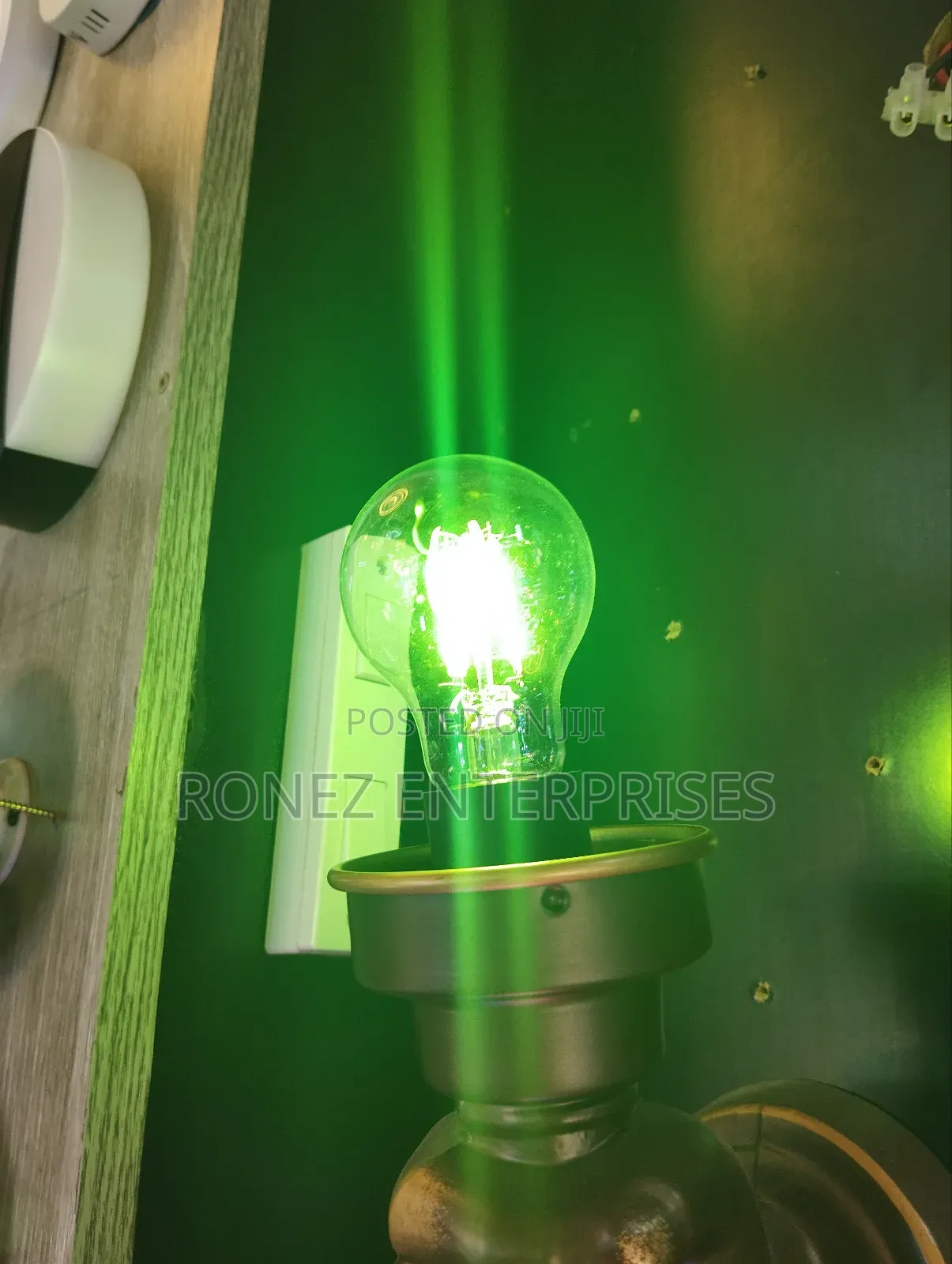 Coloured Filament Bulbs