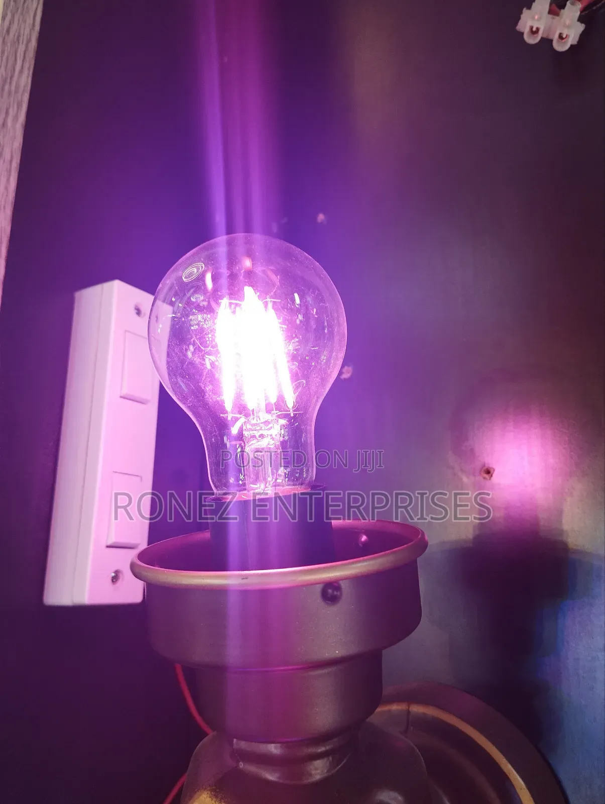 Coloured Filament Bulbs