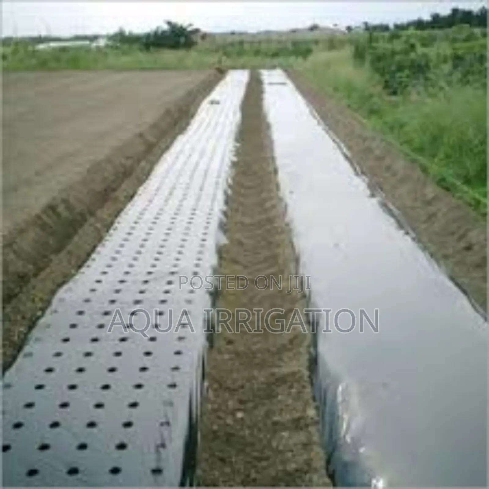 Reduce Weeds, Retain Moisture – Mulch Film