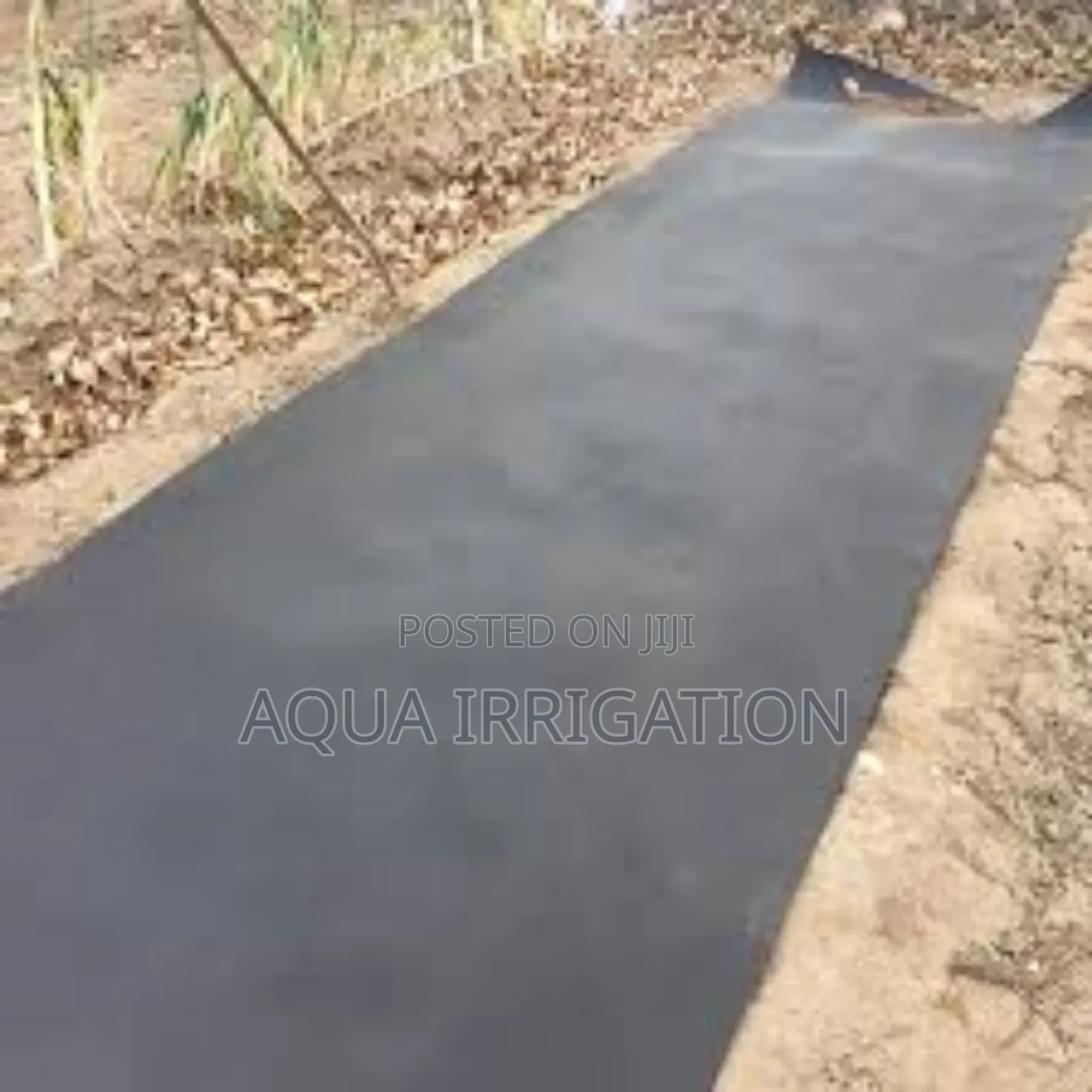 Higher Yields, Less Water With Mulch Film