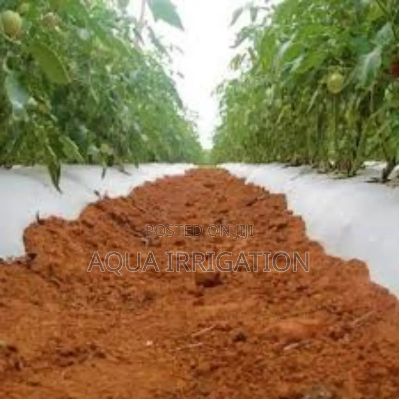 Mulch Film: A Must-Have for Smart Farming