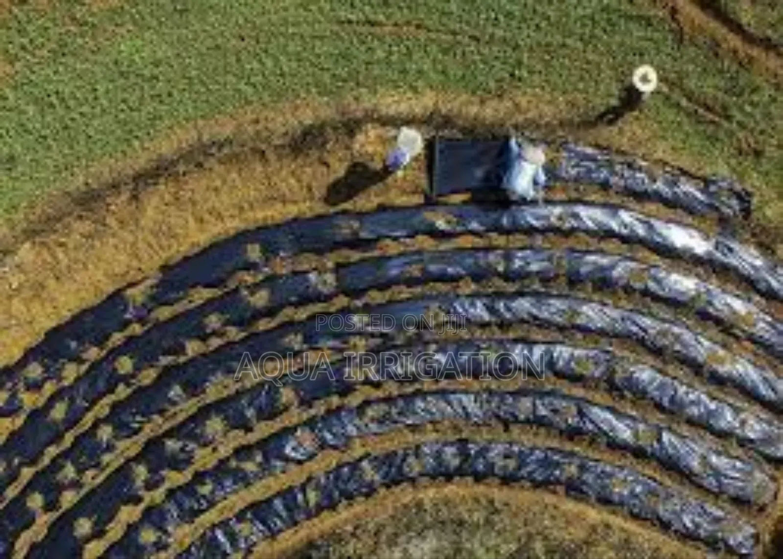 Mulch Film: Helping Farmers Save Grow