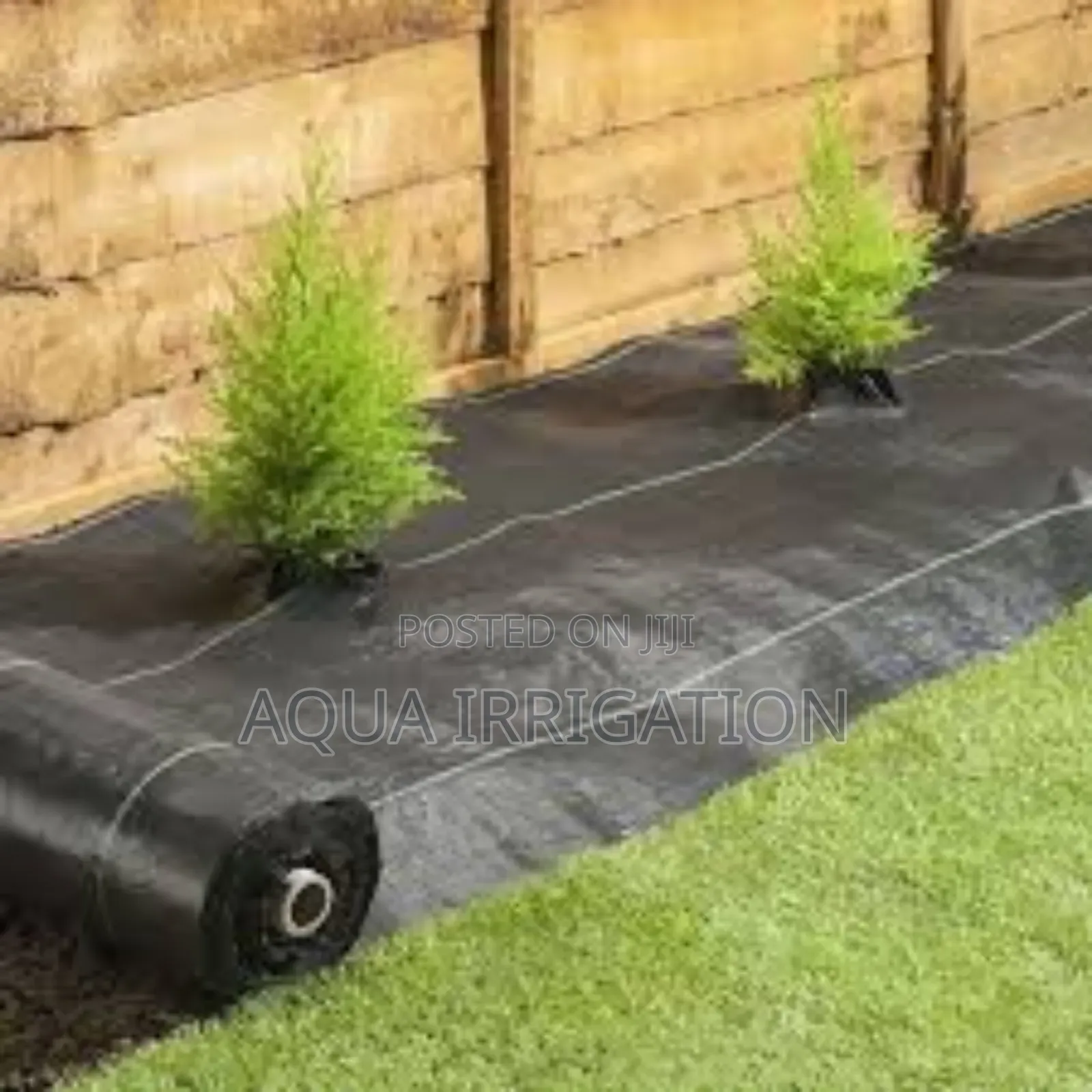 Mulch Film: More Crop, Less Effort