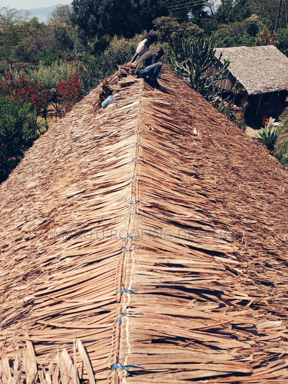 Makuti Thatchers, Professional Roofing