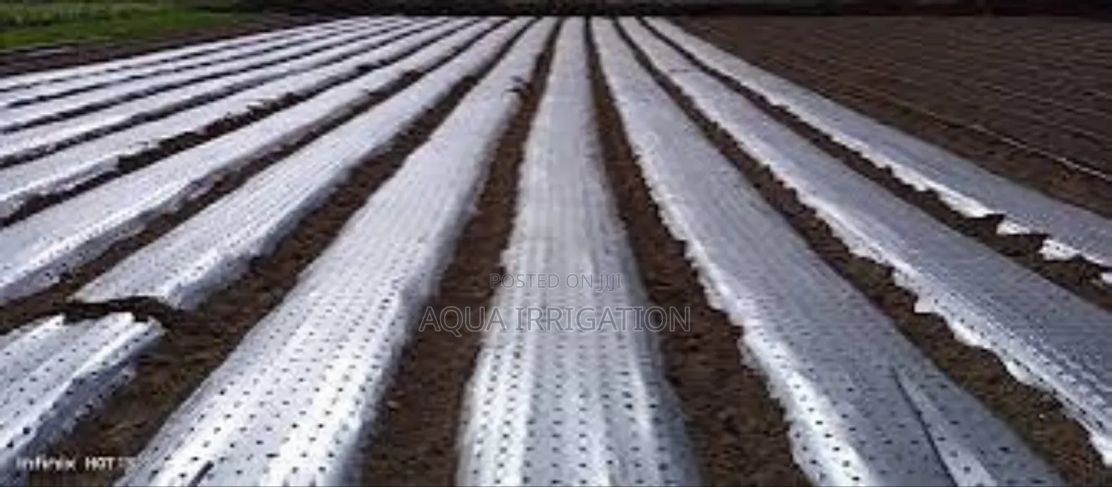 Superior Mulch Film for Healthier Plants!