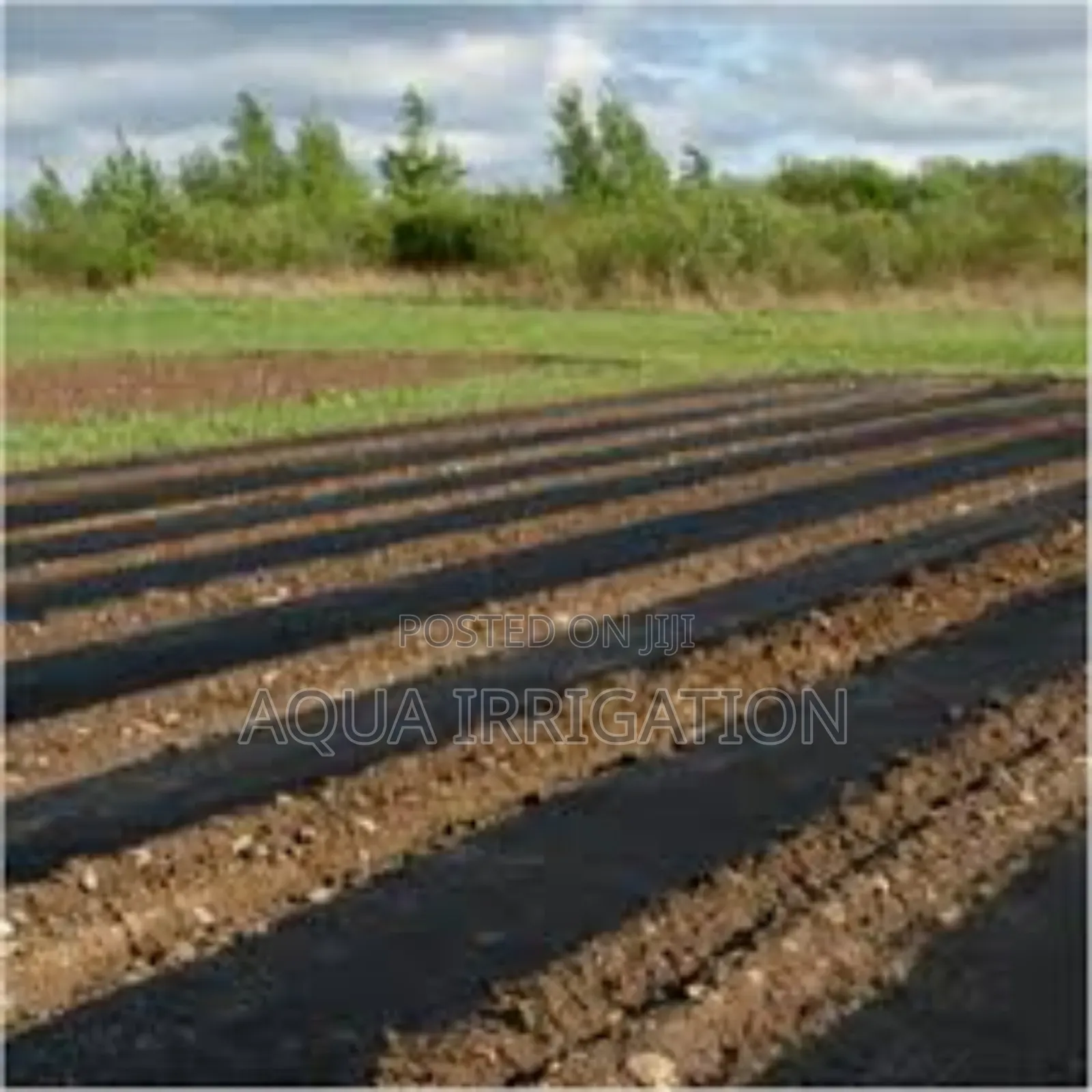 Eco-Friendly Mulch Film – Grow Smarter!