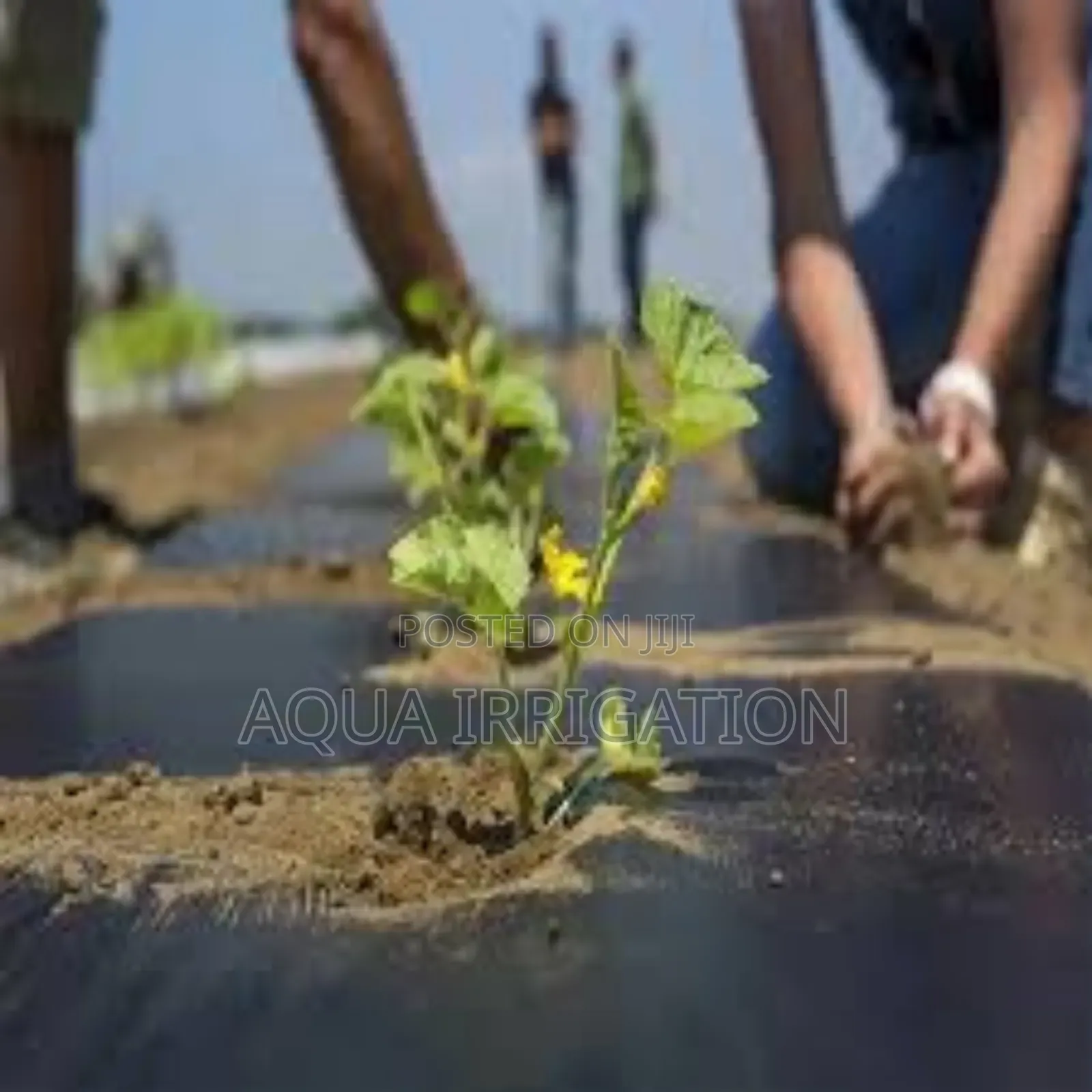Mulch Film Paper for All Crops Seasons!