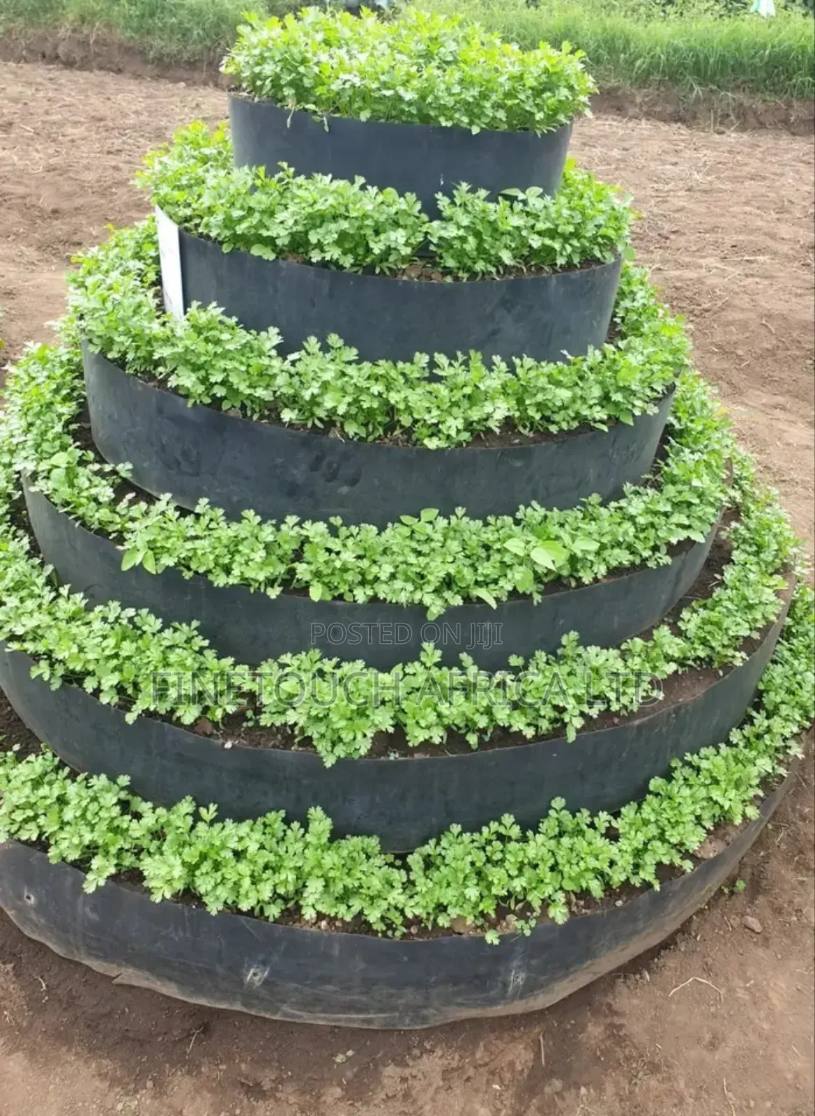 Vertical Garden