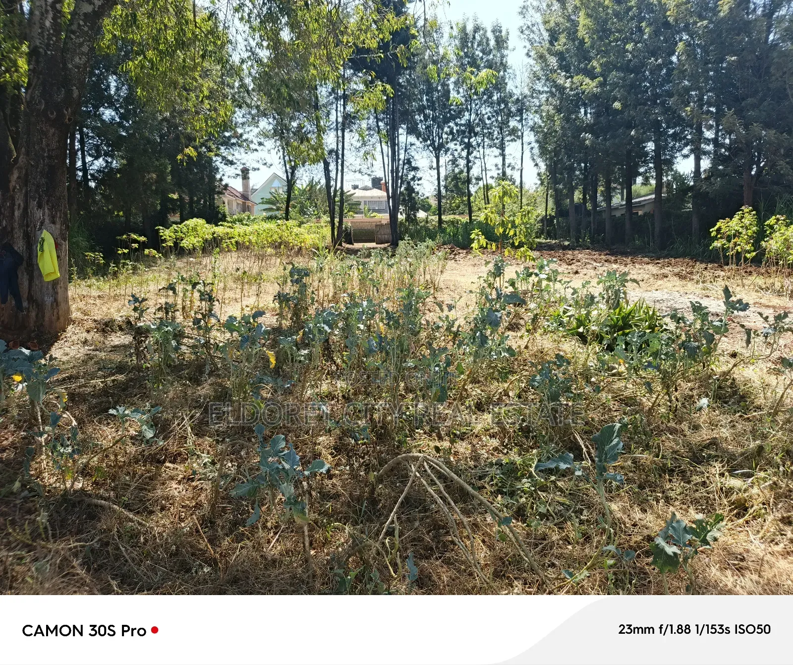 1/2 Acre Lower Elgonview With Title.