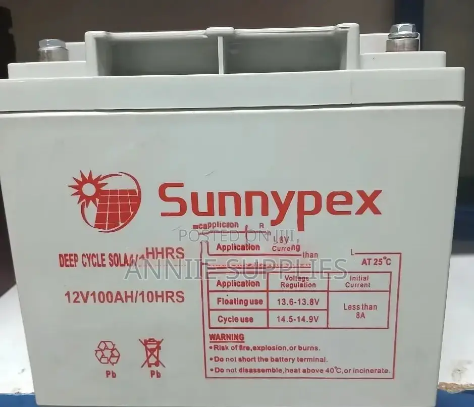 100 Ah 10 HRS Sunnypex Battery