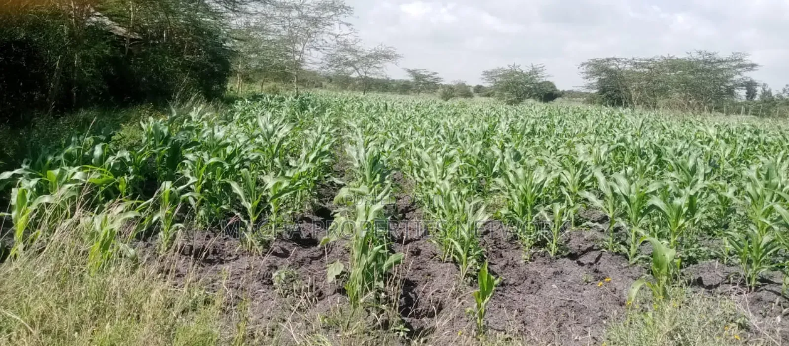 Machakos Vota 1 Acre on Sale
