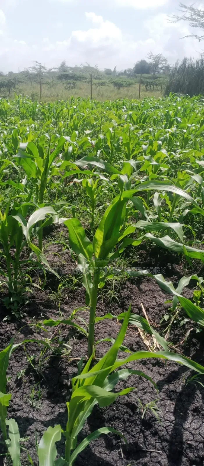 Machakos Vota 1 Acre on Sale