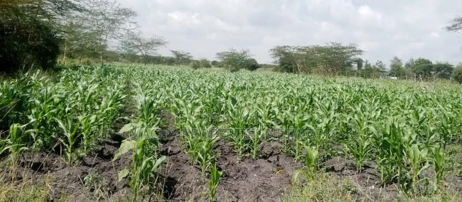 Machakos Vota 1 Acre on Sale