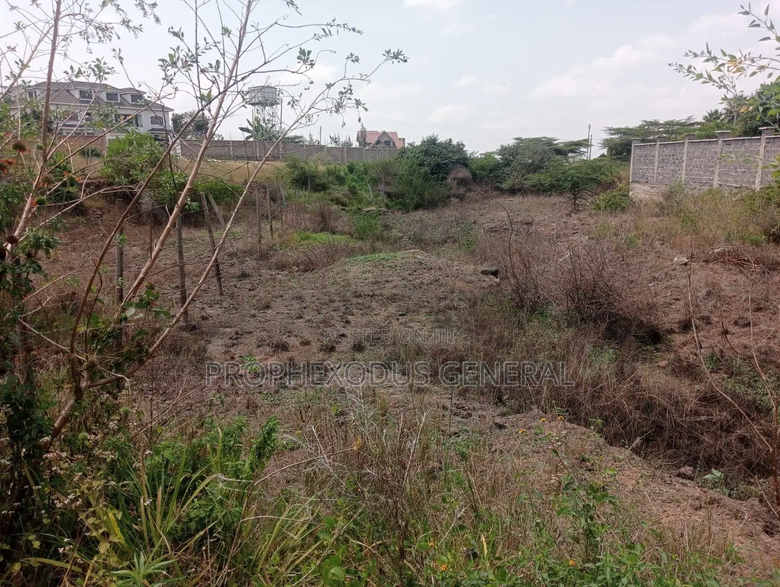 100 X 100 Residential Land for Sale at O/Rongai Maasi Lodge