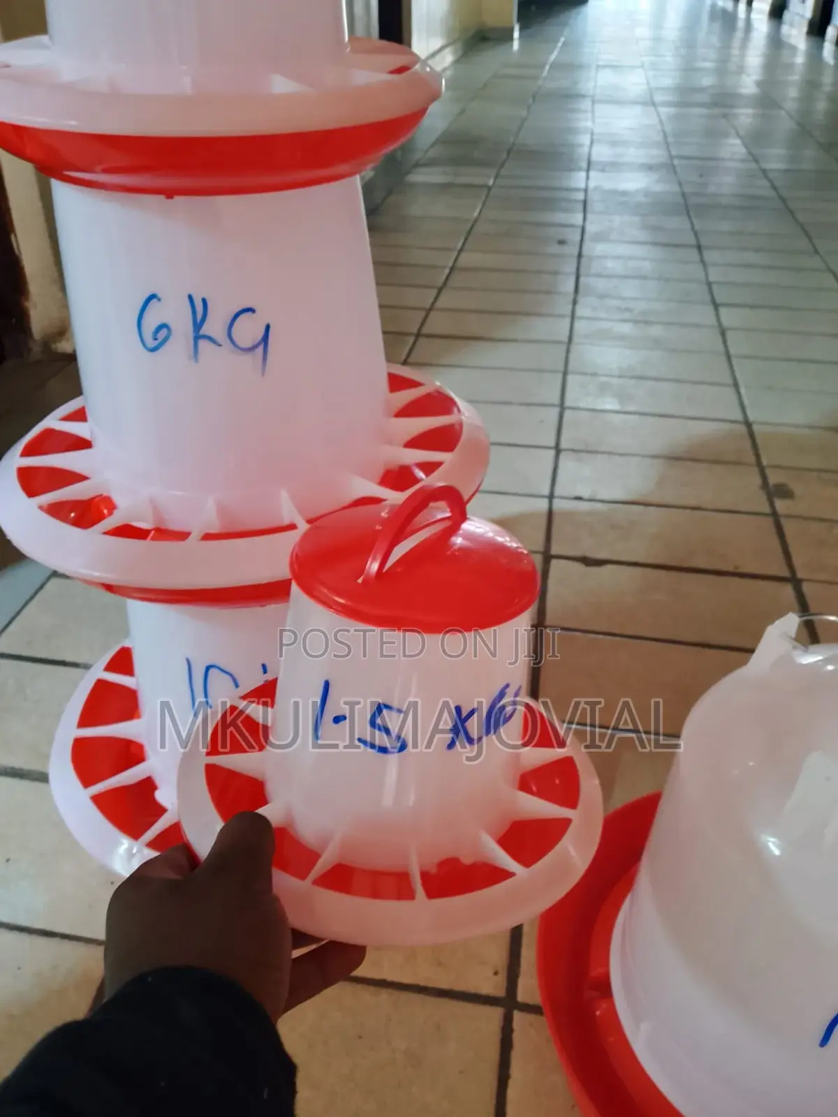 1.5 KGS Red and White Chick Feeders