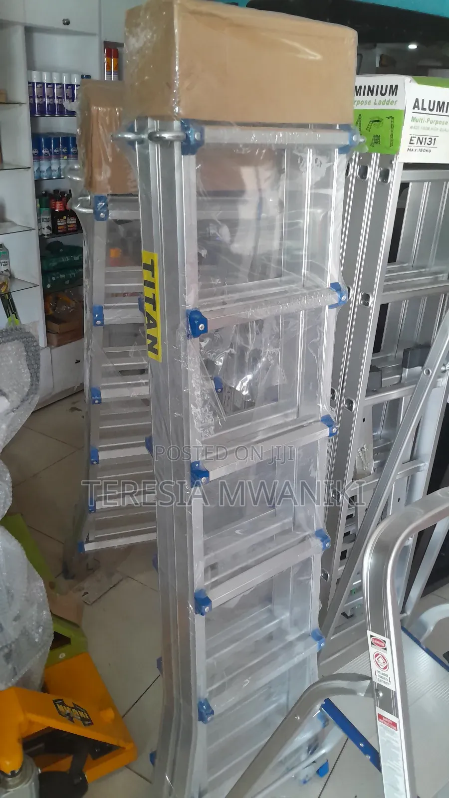 Little Giant  Extension Ladders
