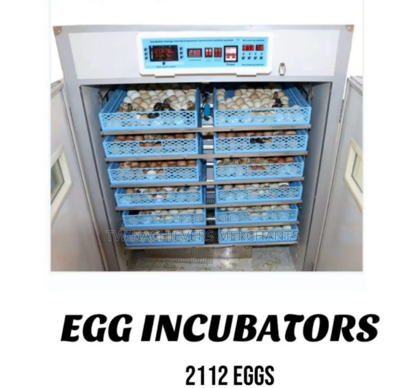 2112egg Incubator/Quality Ac/Dc Egg Incubator