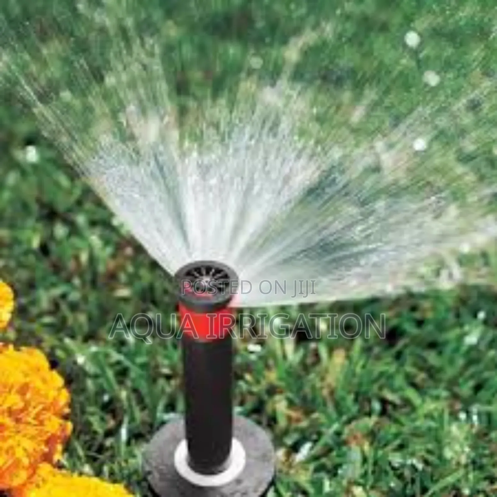 High-Performance Pop-Up Sprinklers – No Dry Spots
