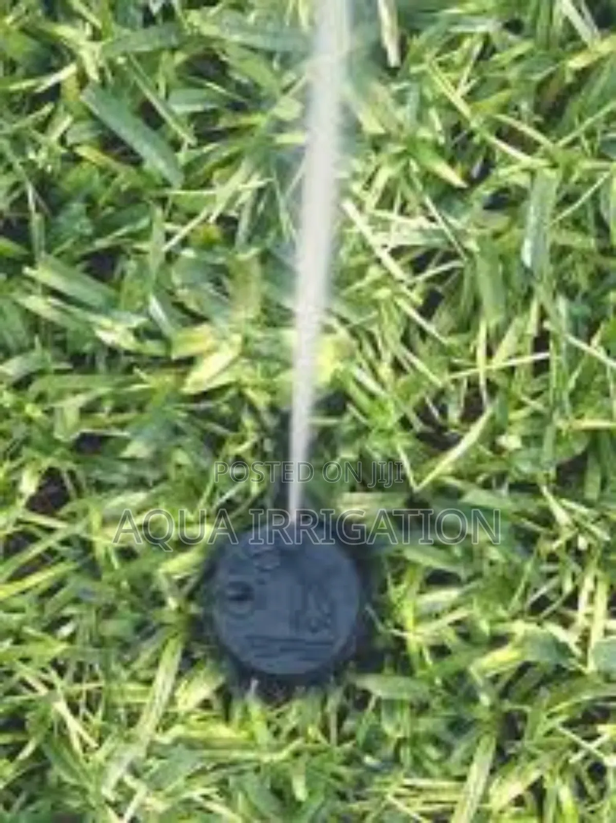 Upgrade Your Irrigation With Pop-Up Sprinklers