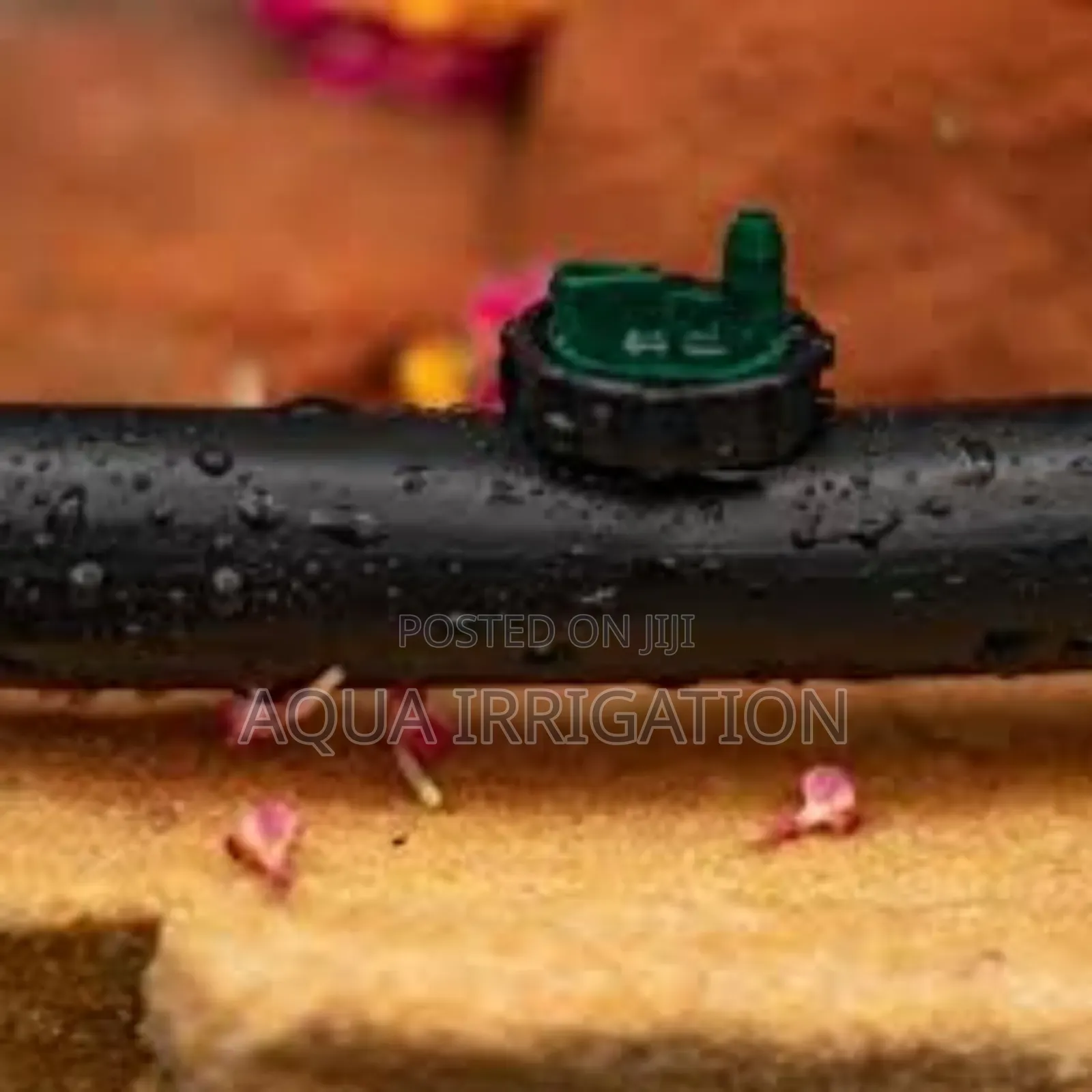 Upgrade Your Drip System With Button Drippers
