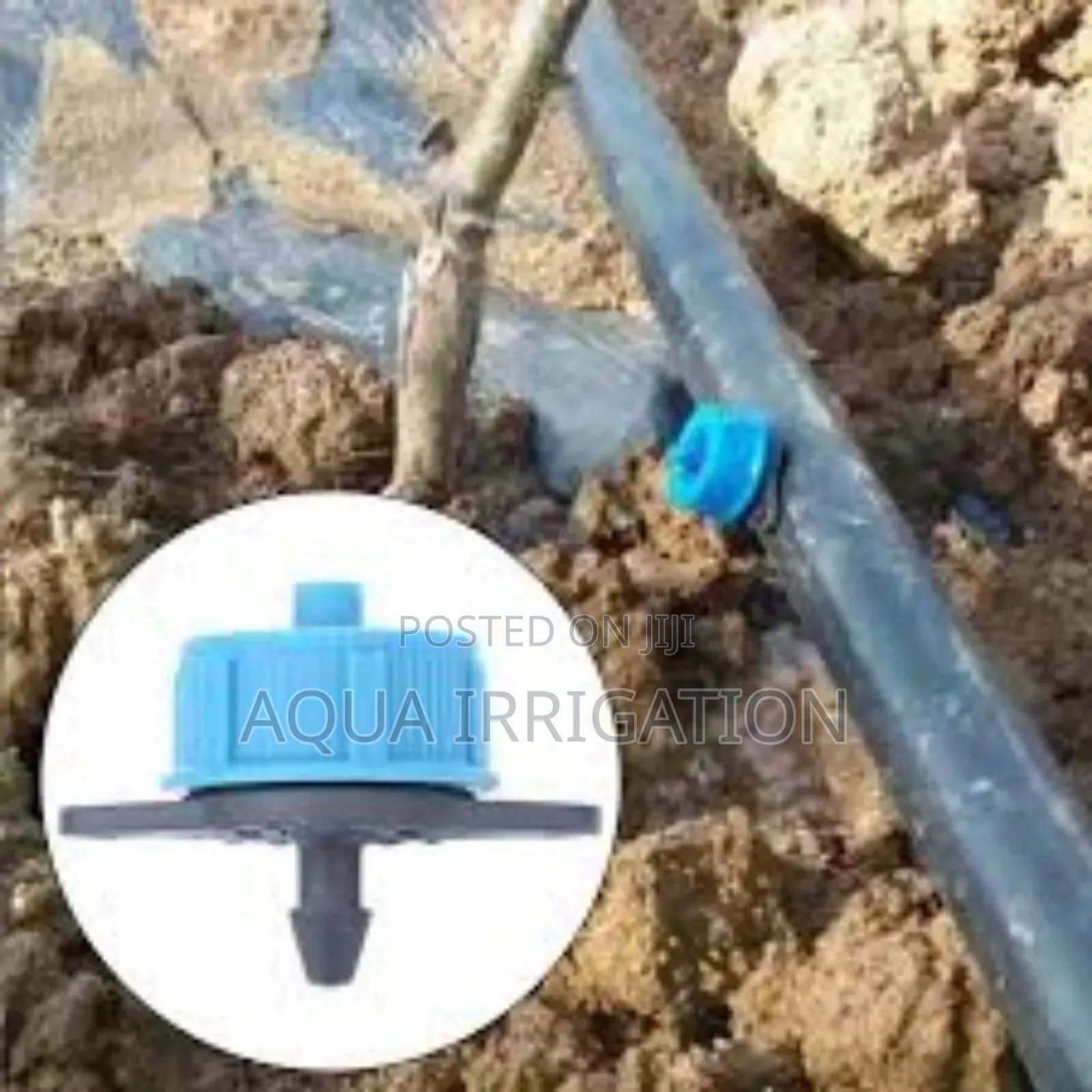 Button Drippers – Efficient Hassle-Free