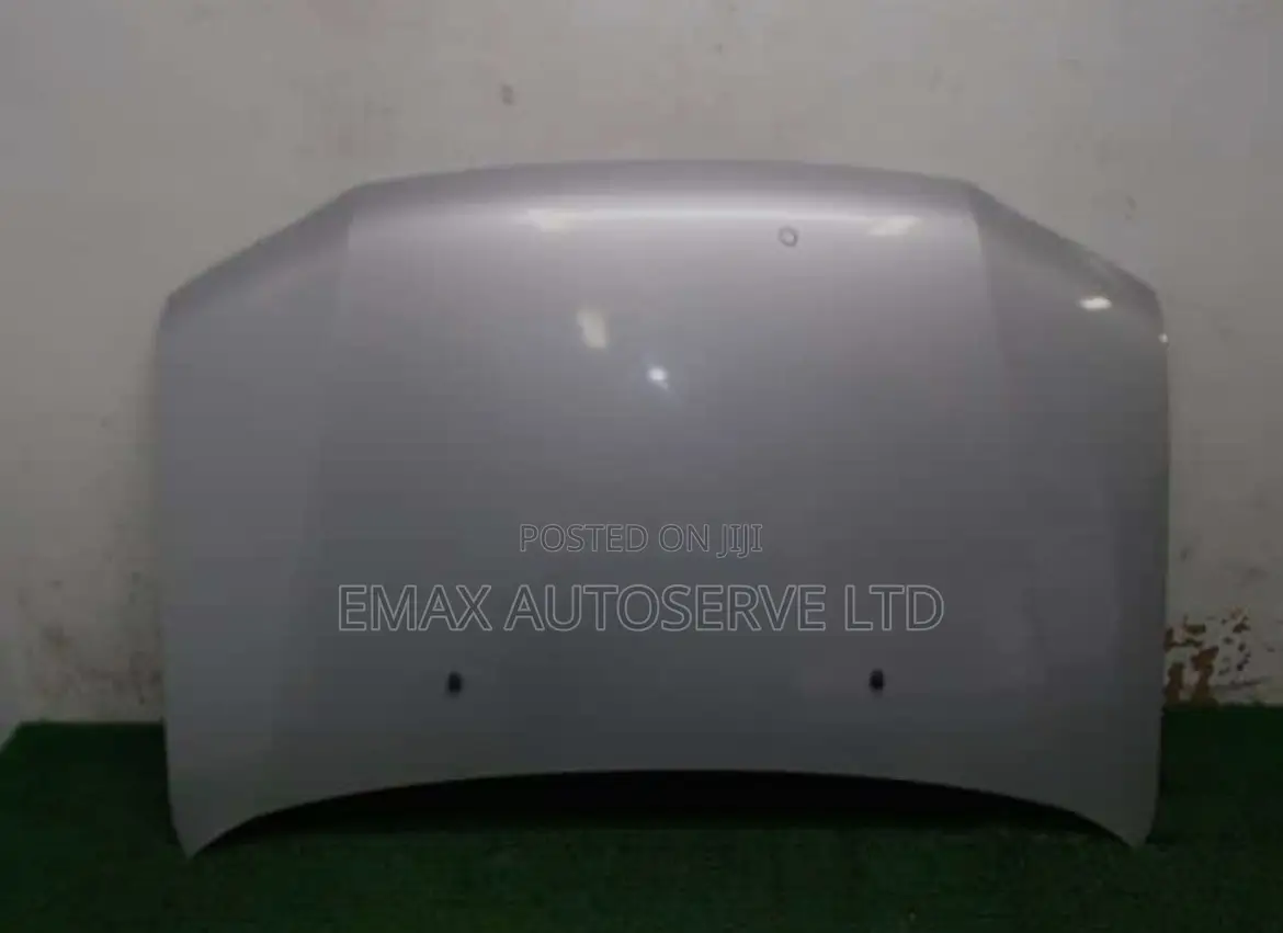Bonnet Probox Old Model Ex Japan