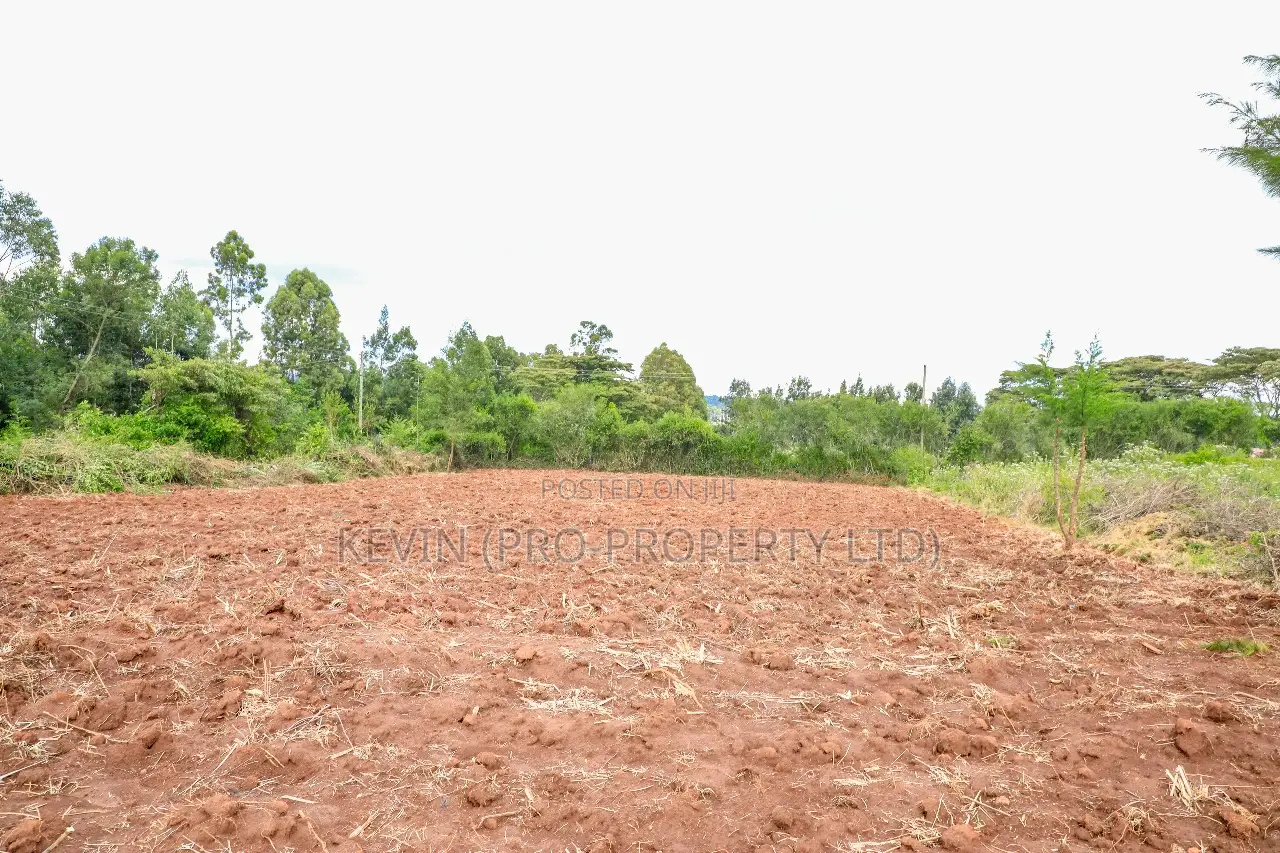 Prime 1/2-Acre Residential Plot for Sale - Kikuyu, Lusigetti