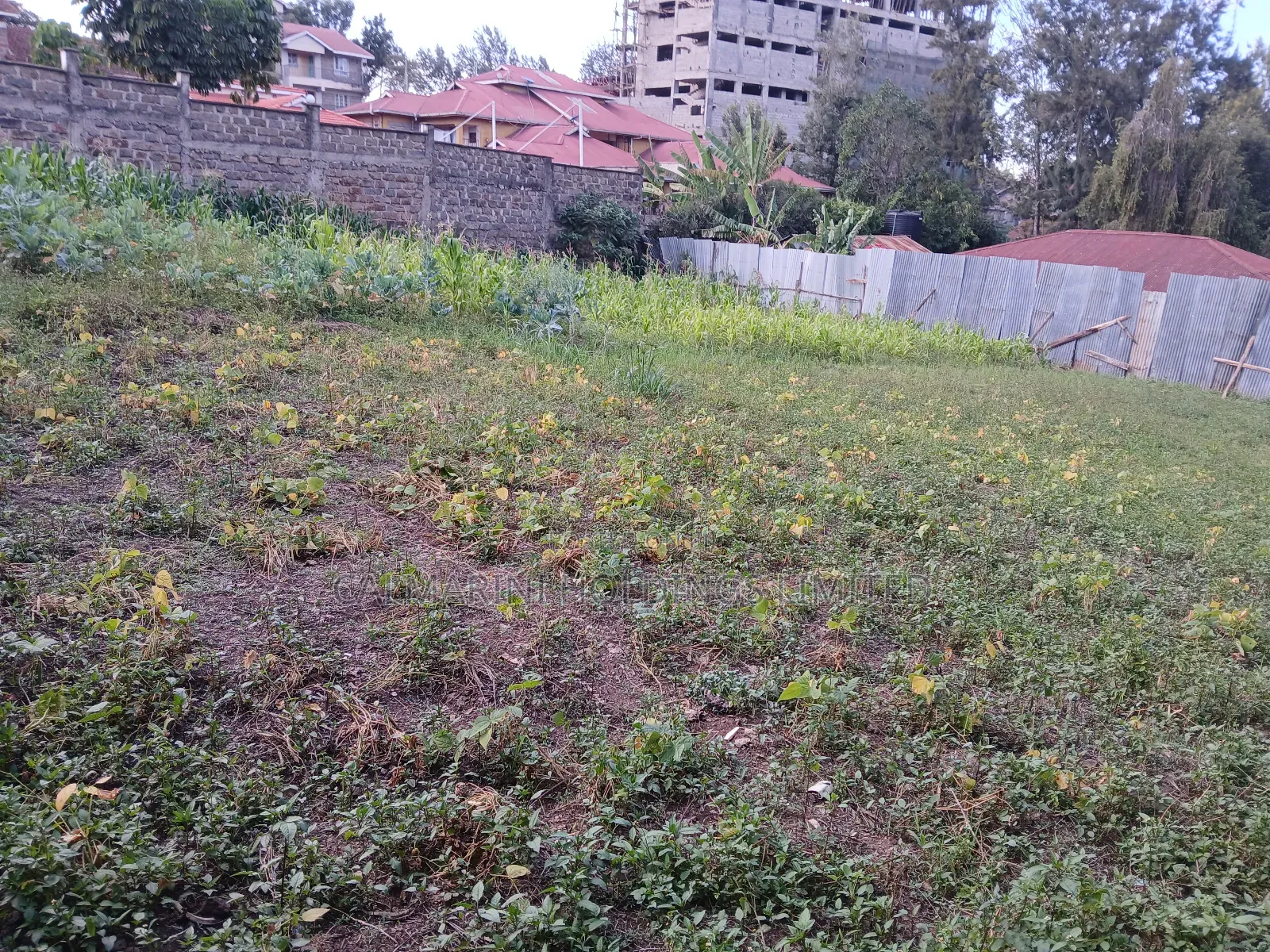 Prime Commercial 100 by 100 Plot in Ngong CBD