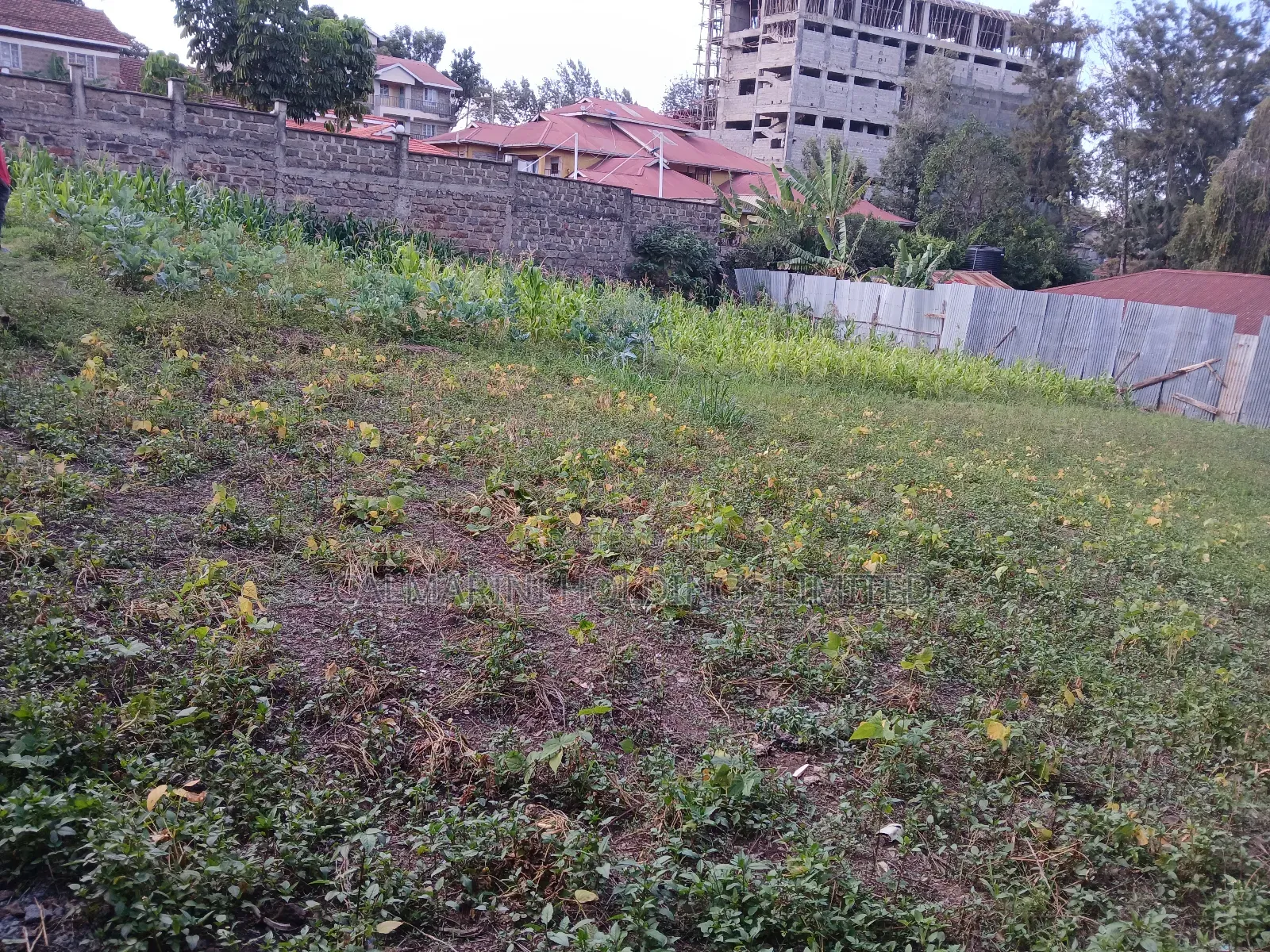 Prime Commercial 100 by 100 Plot in Ngong CBD