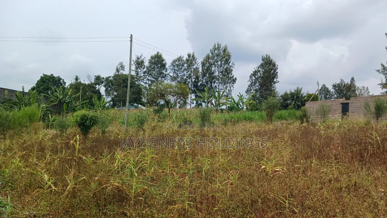 Plots for Sale in Mugutha, Ruiru at Kes 3.5M