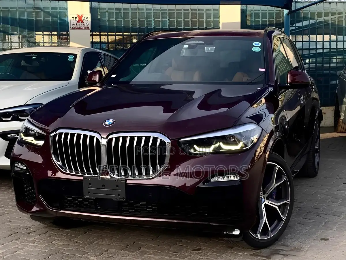 BMW X5 xDrive40i AWD 2019 Burgundy