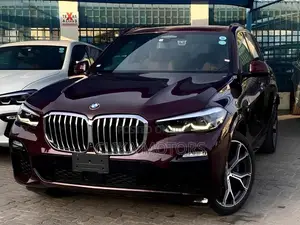BMW X5 xDrive40i AWD 2019 Burgundy