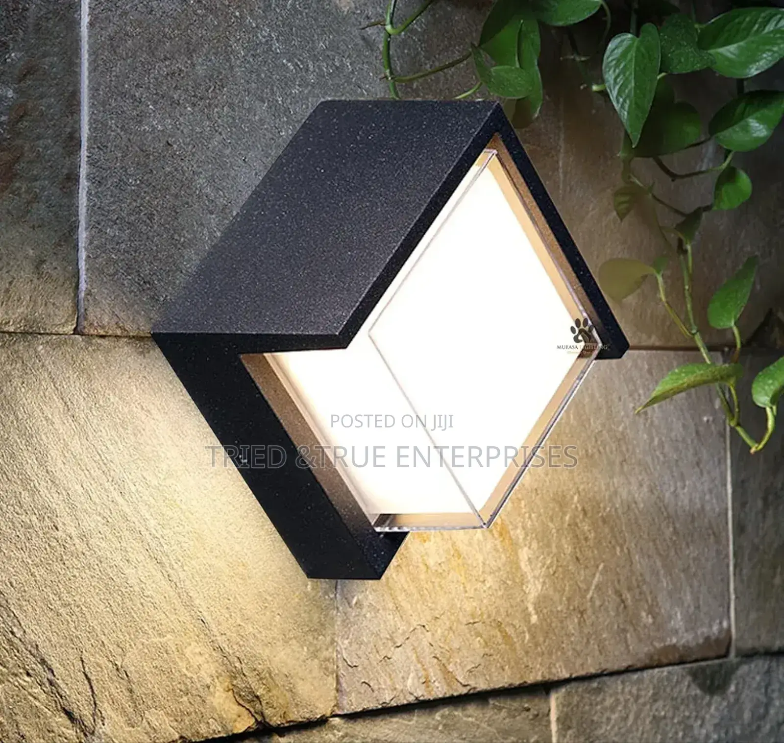 Beautiful 10watts LED Outdoor Wall Bracket Light Es2qk
