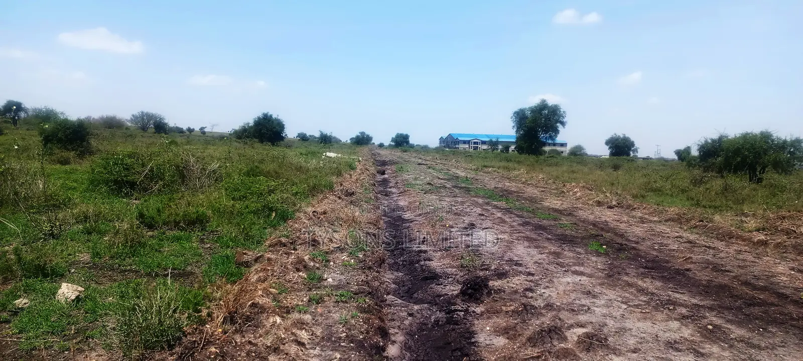 Vacant 1/8 Acre Plots For Sale In Isinya