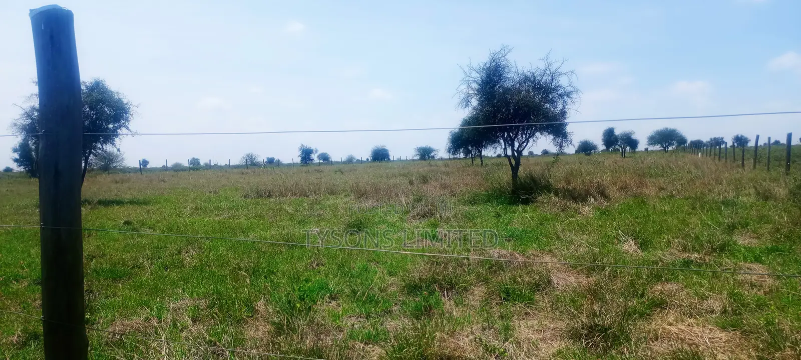 Vacant 1/8 Acre Plots For Sale In Isinya