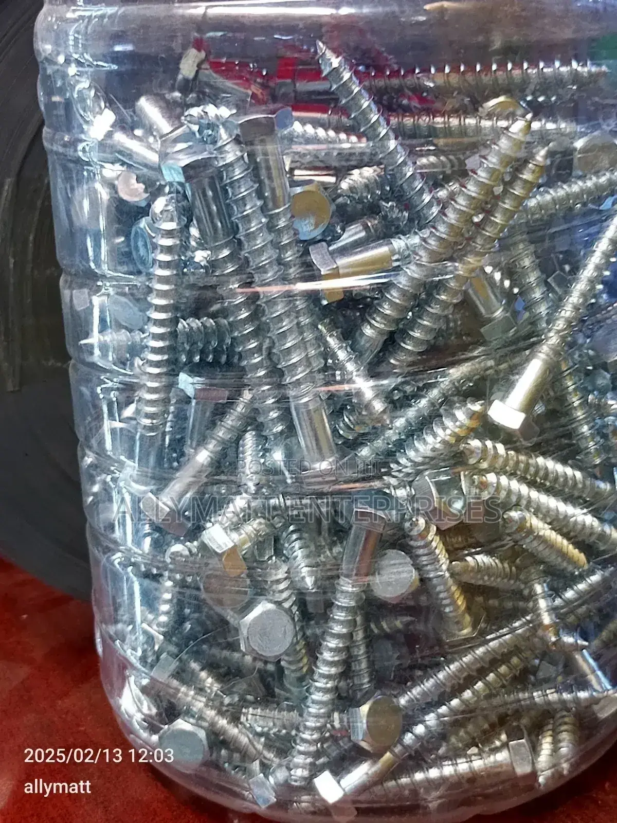 Toilet Screw