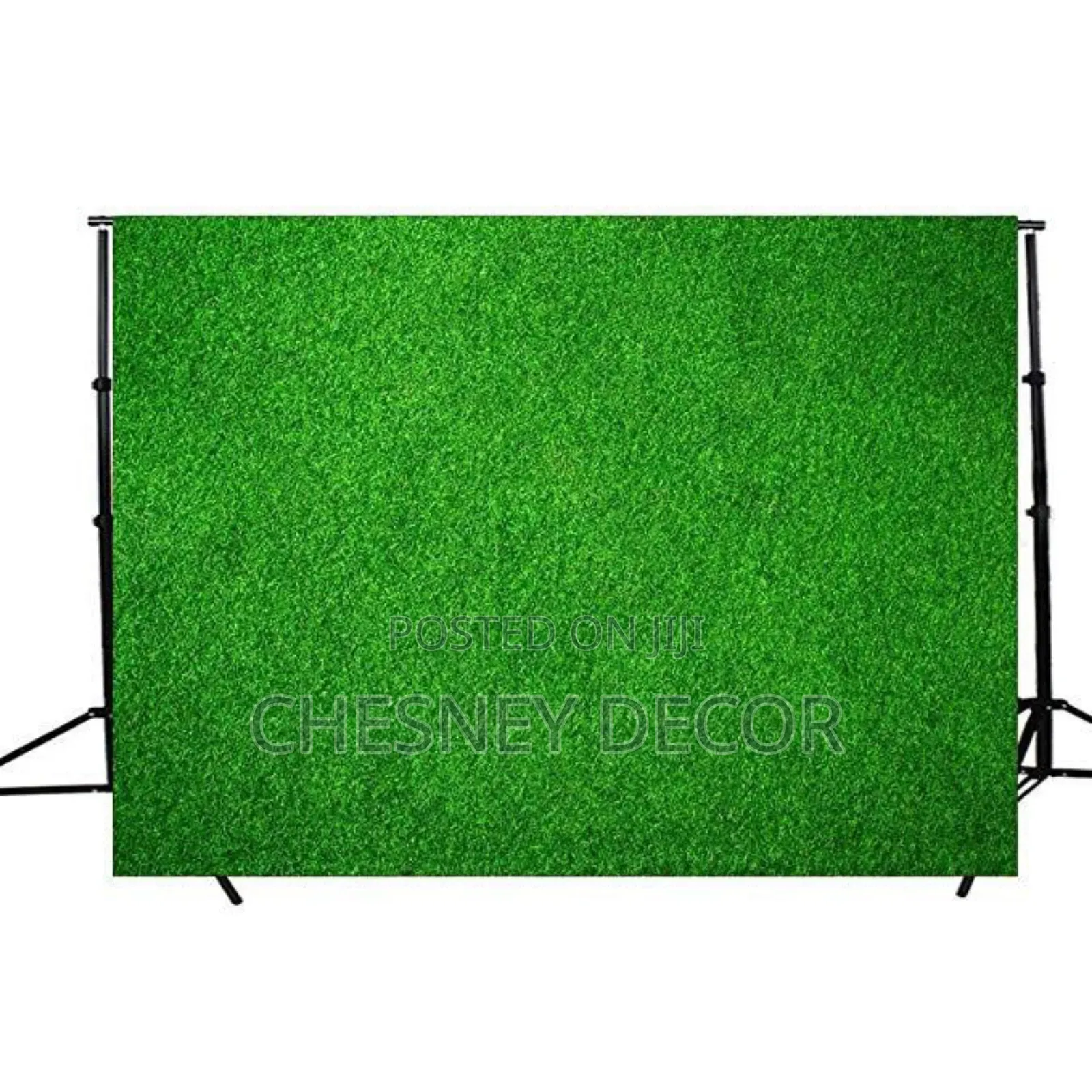 Studio Background- Green